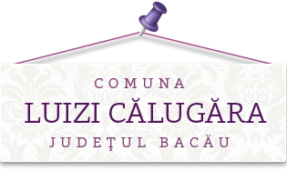 Primăria Luizi Călugăra